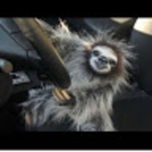 Meet your Posher, Terra